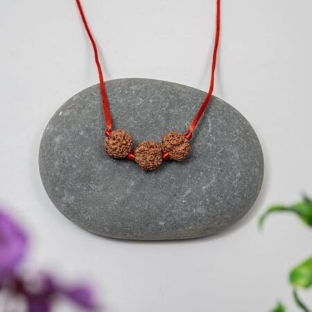 RudSARVAKSH ralife Rudraksha mala for Students | Saraswati Bandh | 4 & 6 Mukhi Rudraksha | Original Nepal Rudraksha