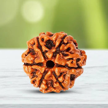 6 Mukhi Rudraksha Original Certified Bead - Natural Nepali 6 Mukhi Rudraks For Meditation And Prayer, Protection, Chakra Balancing, Spiritual Growth And Diy Pooja Supplies