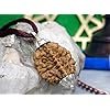 Divine Anandam® Certified 2 Mukhi Rudraksha Pendant | Original Nepali Two-Faced Rudraksha | Silver Capped | Blessed by Shiv-Shakti | Unisex Spiritual Jewelry