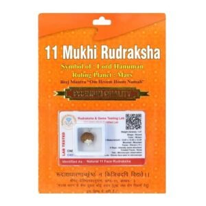 Divine Anandam® Certified Brown Rudraksha Pendant | Silver Capped | Lab Tested & X-Ray Verified | Unisex Spiritual Jewelry