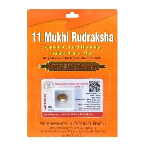 Divine Anandam® Certified Brown Rudraksha Pendant | Silver Capped | Lab Tested & X-Ray Verified | Unisex Spiritual Jewelry