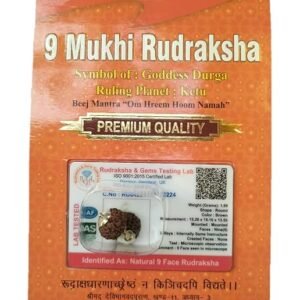 Divine Anandam® Certified Brown Rudraksha Pendant | Silver Capped | Lab Tested & X-Ray Verified | Unisex Spiritual Jewelry