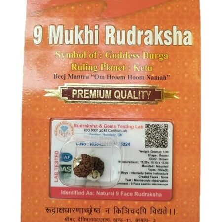 Divine Anandam® Certified Brown Rudraksha Pendant | Silver Capped | Lab Tested & X-Ray Verified | Unisex Spiritual Jewelry