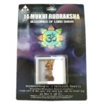 Certified Brown Rudraksha Pendant with Lab Test & X-Ray Report | Silver Capped Original Rudraksha | Unisex Spiritual Jewelry
