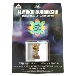 Certified Brown Rudraksha Pendant with Lab Test & X-Ray Report | Silver Capped Original Rudraksha | Unisex Spiritual Jewelry