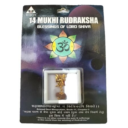 Certified Brown Rudraksha Pendant with Lab Test & X-Ray Report | Silver Capped Original Rudraksha | Unisex Spiritual Jewelry