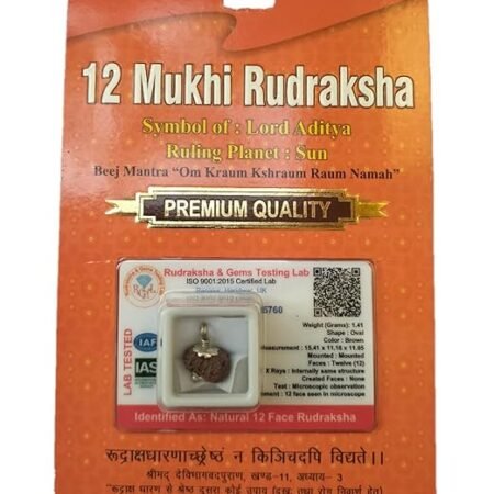 Divine Anandam® Certified Brown Rudraksha Pendant | Silver Capped | Lab Test & X-Ray Verified