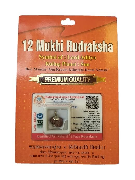 Divine Anandam® Certified Brown Rudraksha Pendant | Silver Capped | Lab Test & X-Ray Verified