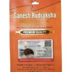 Divine Anandam® Certified Brown Rudraksha Pendant with Lab Test & X-Ray Report | Silver Capped Original Rudraksha | Spiritual Pendant for Men & Women