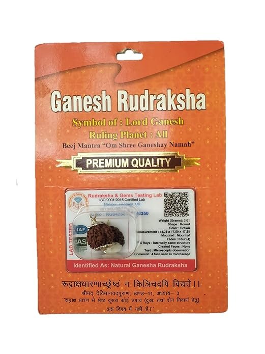 Divine Anandam® Certified Brown Rudraksha Pendant with Lab Test & X-Ray Report | Silver Capped Original Rudraksha | Spiritual Pendant for Men & Women
