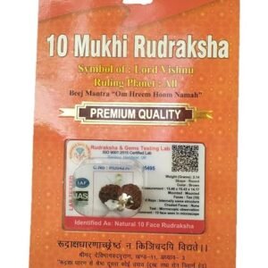Divine Anandam® Certified Brown Rudraksha Pendant | Silver Capped | Lab Tested & X-Ray Verified | Unisex Spiritual Jewelry