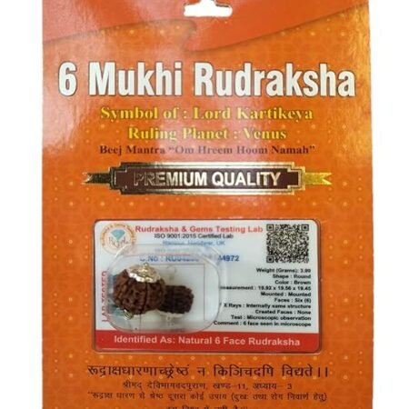Divine Anandam┬о Certified Brown Rudraksha Pendant | Silver Capped | Lab Tested & X-Ray Verified | Unisex Spiritual Jewelry