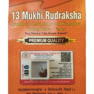 Certified Brown Rudraksha Pendant with Lab Test & X-Ray Report | Original Silver Capped Rudraksha | For Men & Women