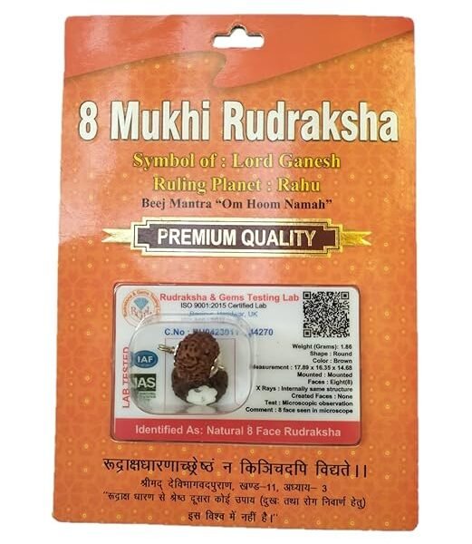 Rudraksha Brown Certificate Lab Test & X-ray Report with Silver Capping| Rudraksha Pendant for Men & Women