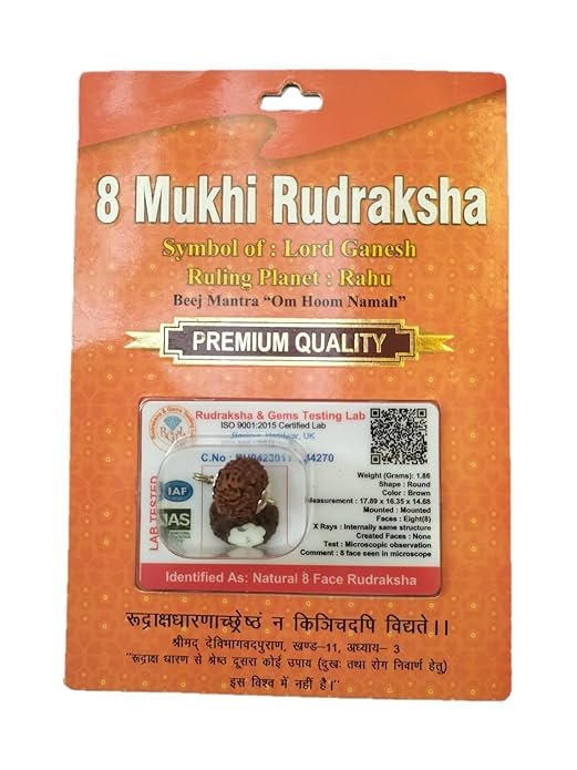 Rudraksha Brown Certificate Lab Test & X-ray Report with Silver Capping| Rudraksha Pendant for Men & Women